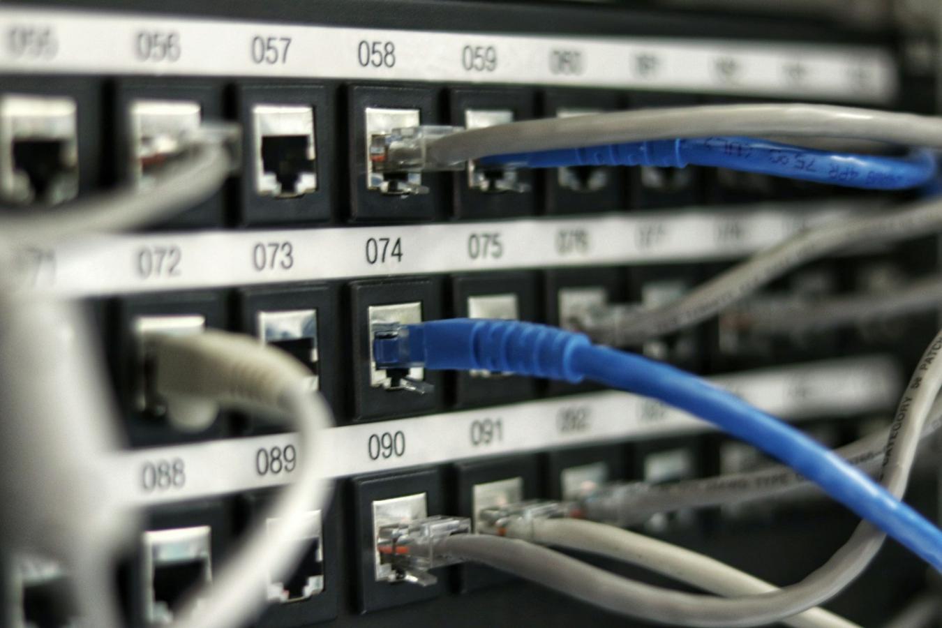 Blue network cables plugged into a rack